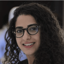 Screen-Shot-2020-09-19-at-8.47.44-PM-250x250