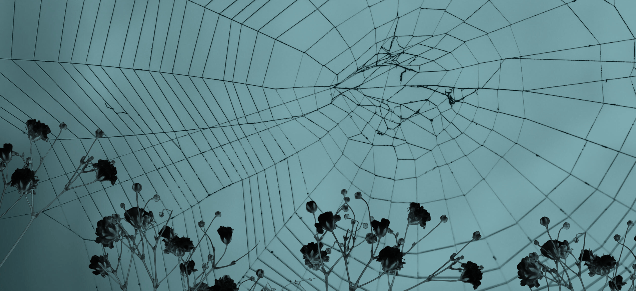 Web-2025-2026-hadeia