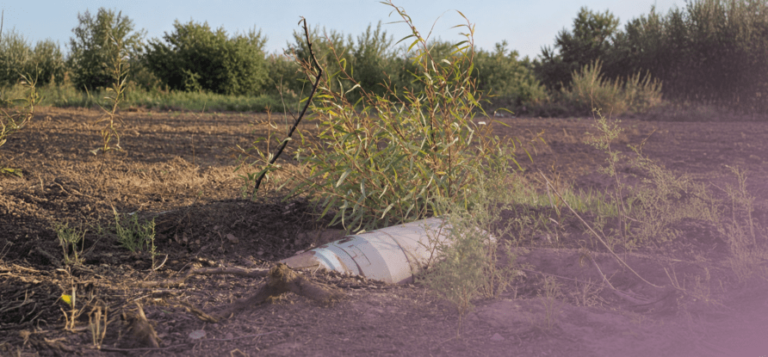 Web-2026algham-892x415